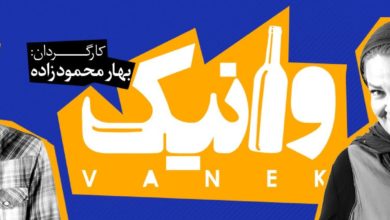 نویسنده ای که مجبور به نادیده گرفتن اعتقاداتش می شود/ روایت بهار محمود زاده از نمایش " وانیک"